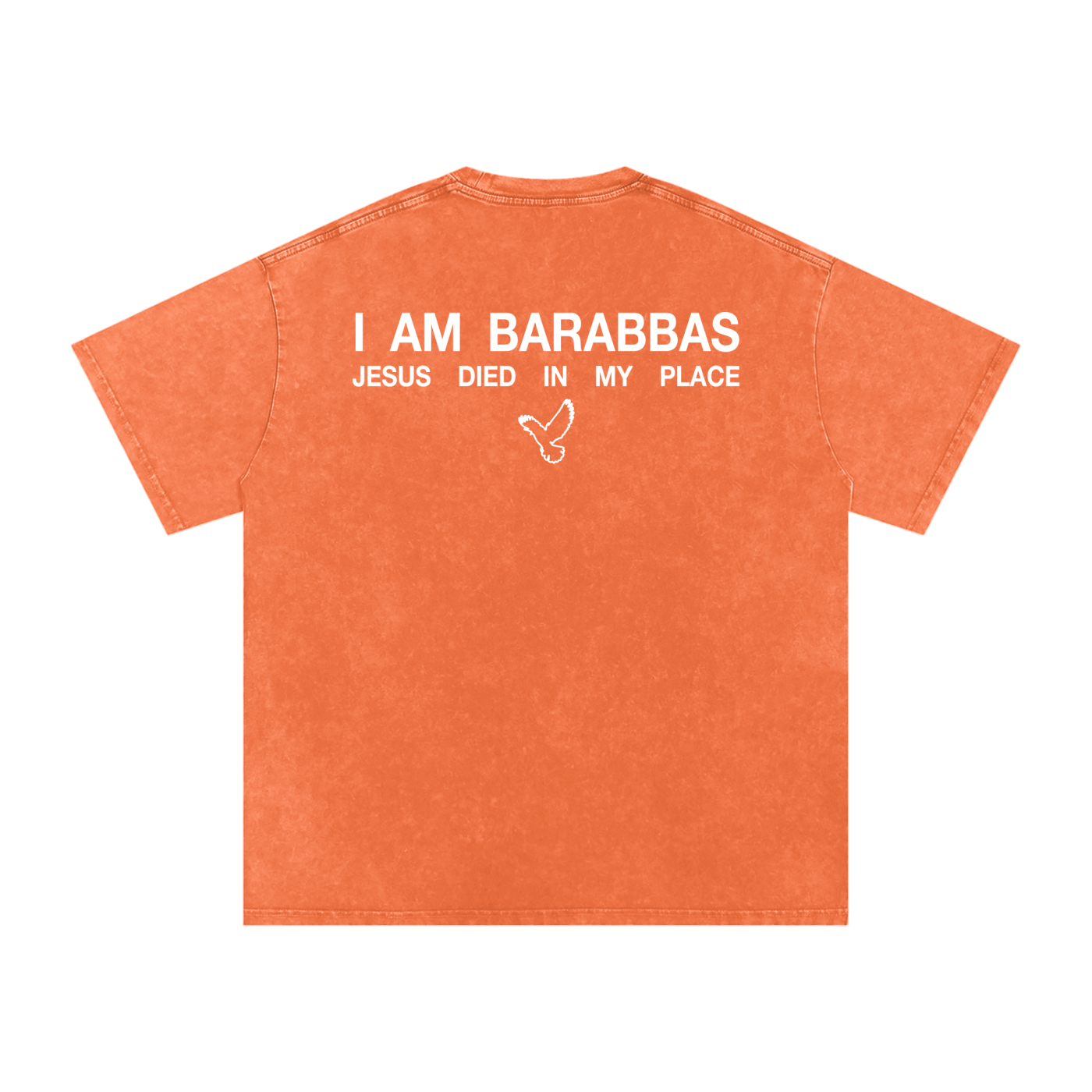 BARABBAS Snow Washed Oversized Tee