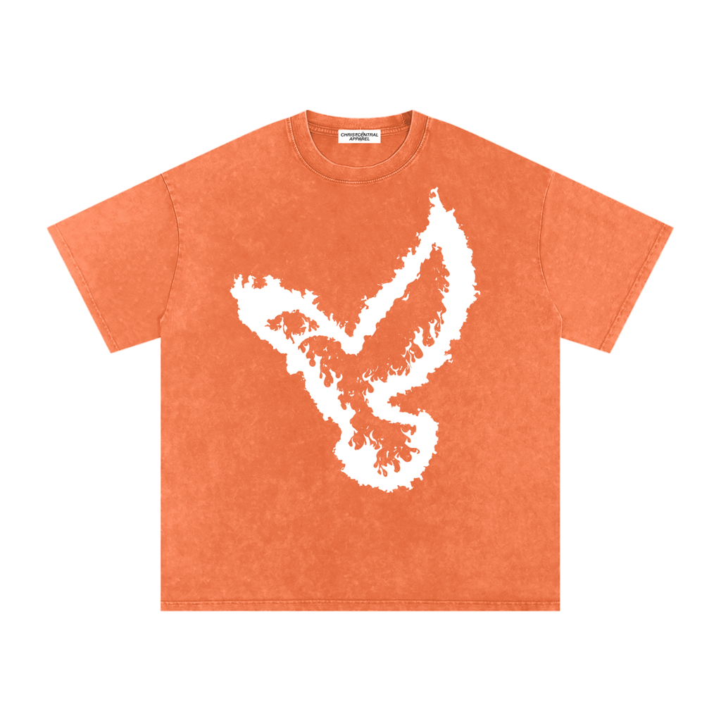 D.O.H.N.B. Snow Washed Oversized Tee