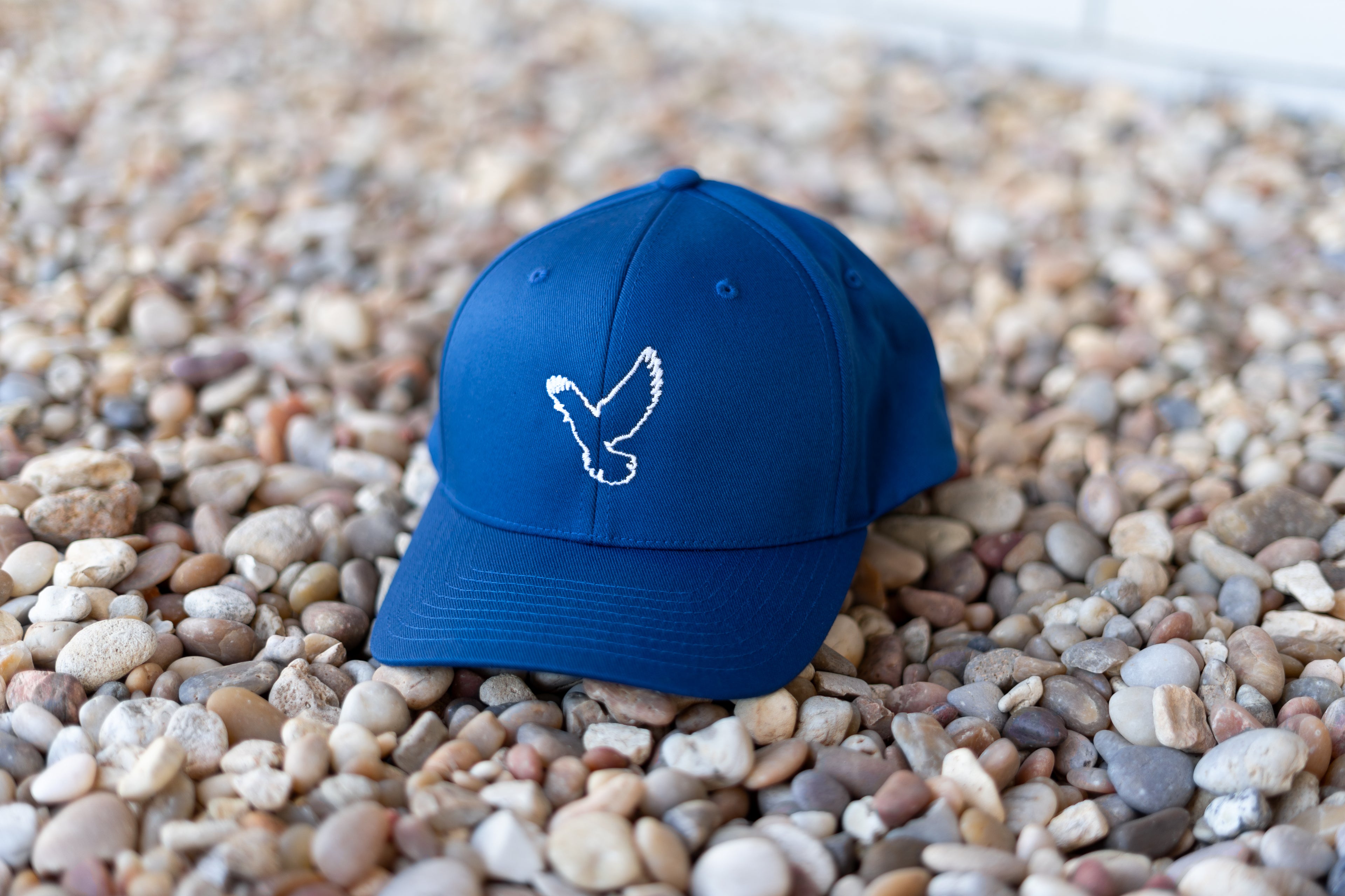 Dove Logo Fitted Cap (Solid Color)