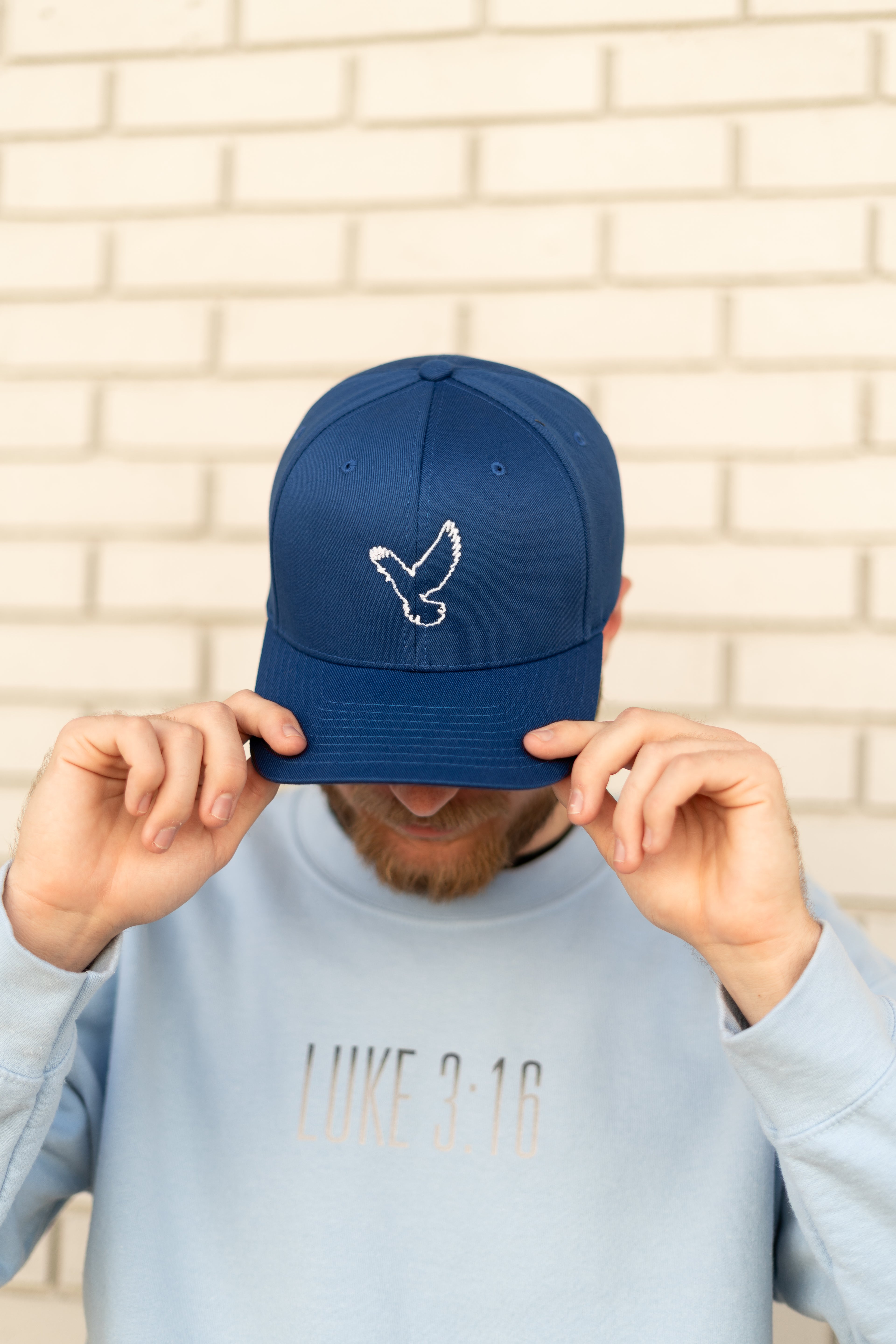 Dove Logo Fitted Cap (Solid Color)