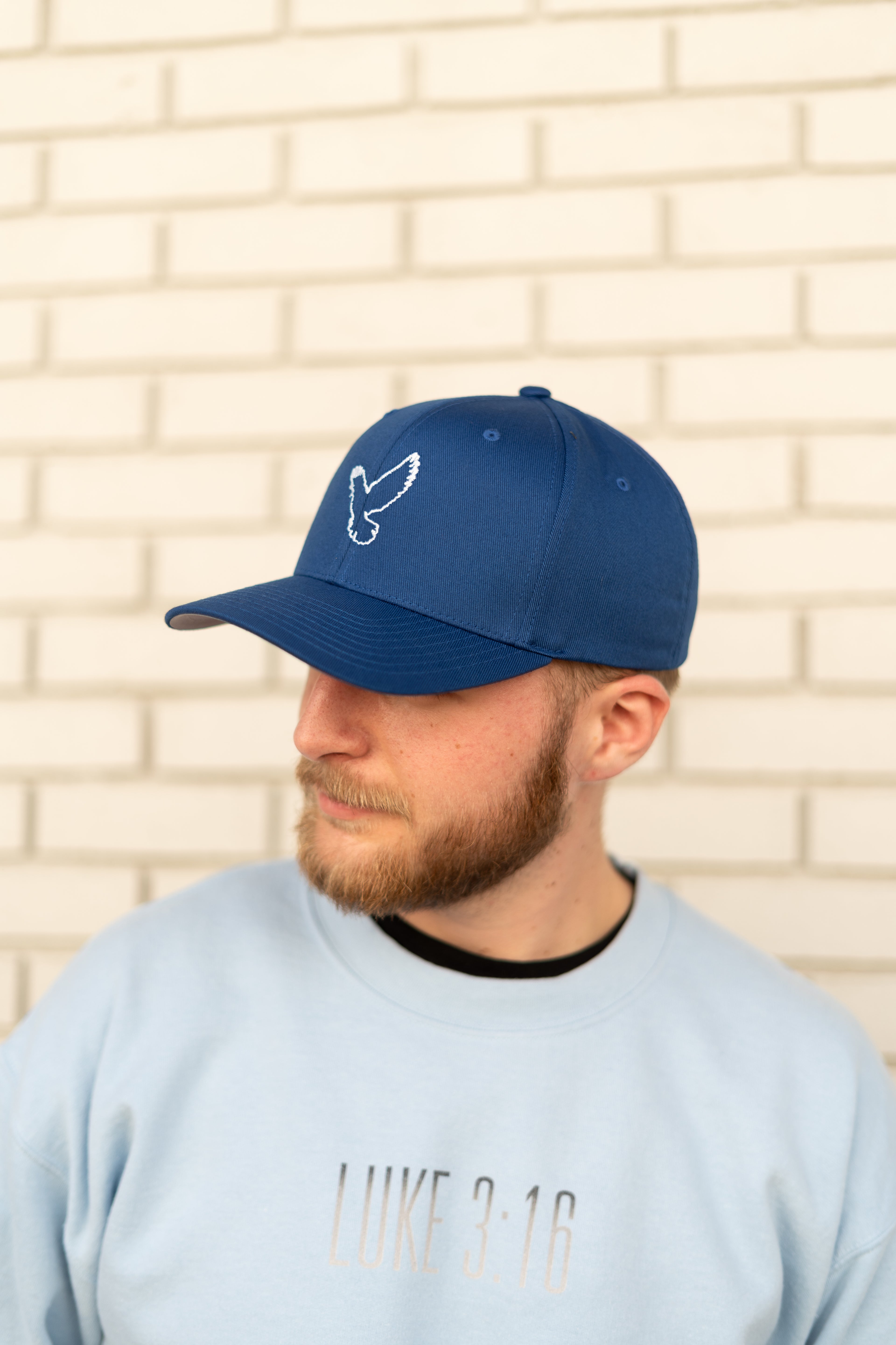 Dove Logo Fitted Cap (Solid Color)