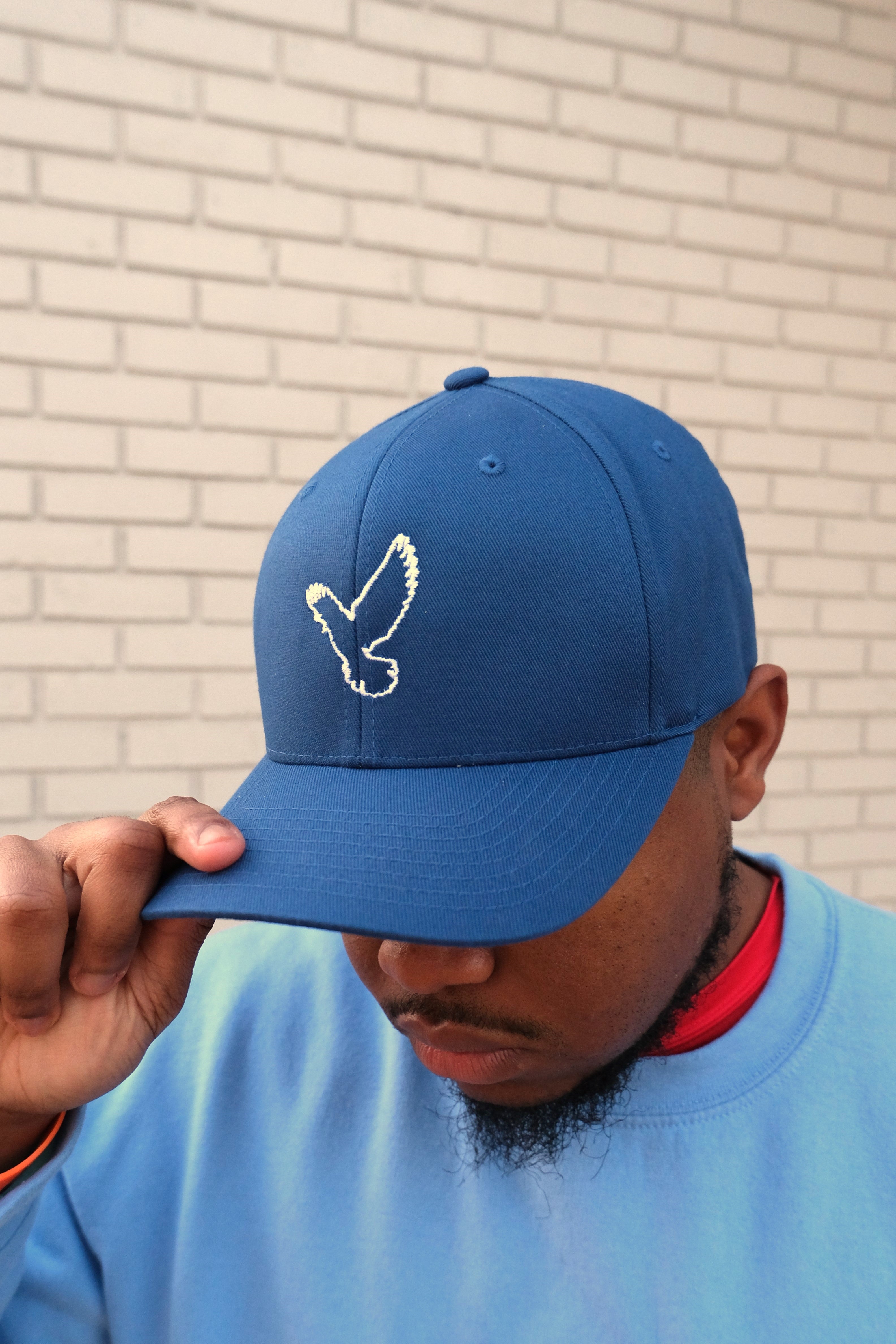 Dove Logo Fitted Cap (Solid Color)